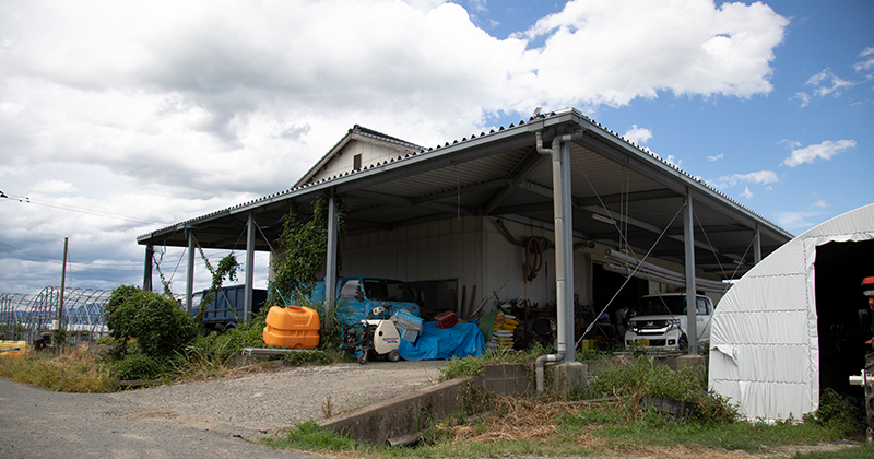 土作りへのこだわり