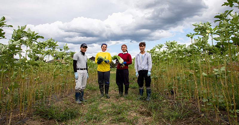 肥料へのこだわり