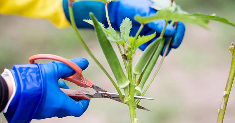 安心・安全へのこだわり
