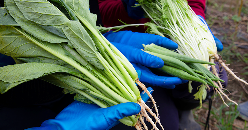 味へのこだわり